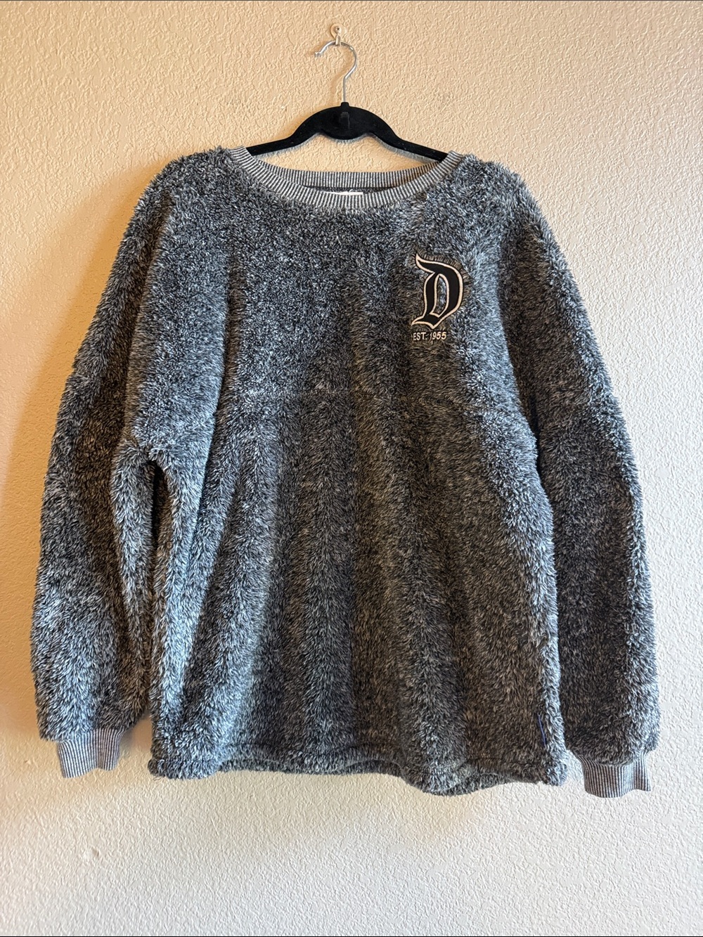 Disneyland Resort Spirit Jersey